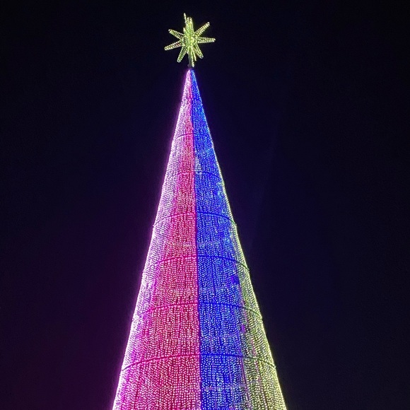 Meet your Posher, Cindy - Picture 1 of 1